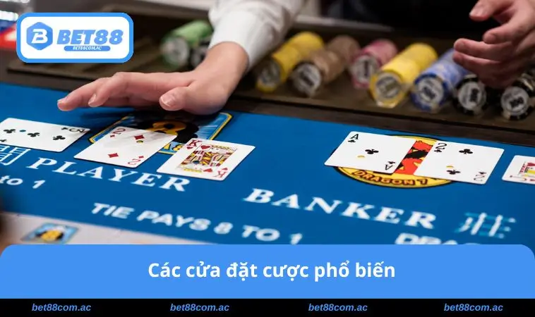 Các cửa đặt cược phổ biến