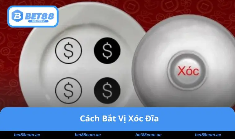 Cách Bắt Vị Xóc Đĩa