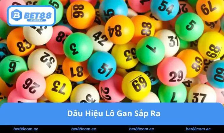 Dấu Hiệu Lô Gan Sắp Ra