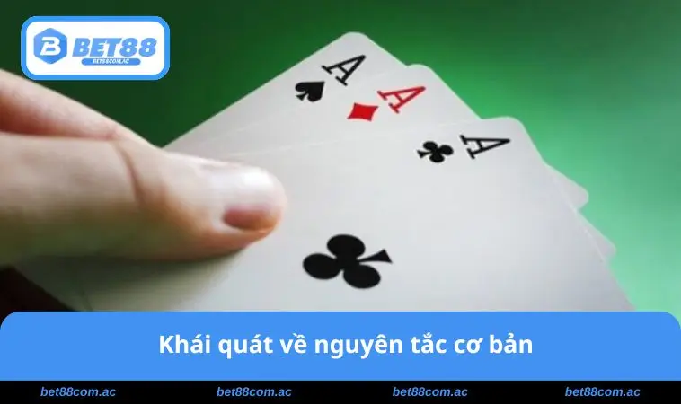 Khái quát về nguyên tắc cơ bản