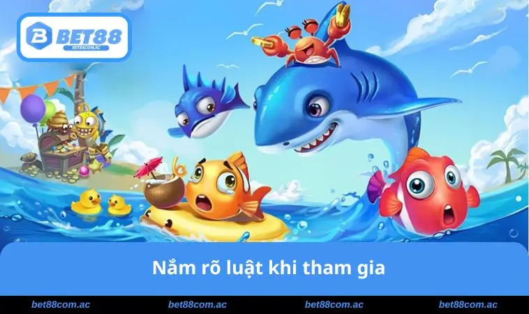 Nắm rõ luật khi tham gia