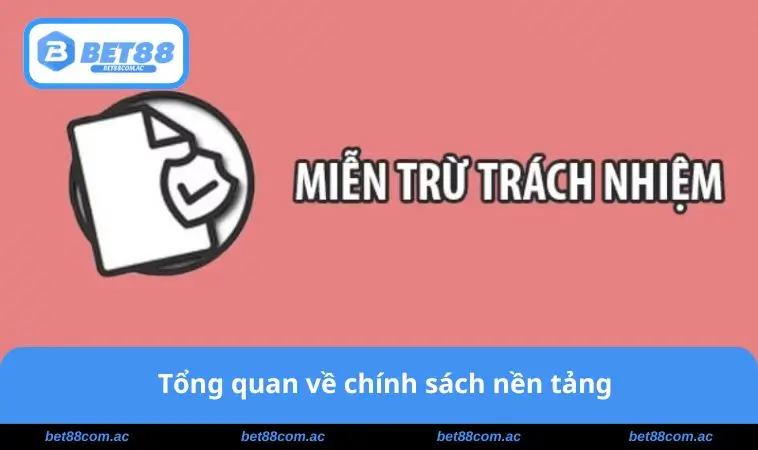 Tổng quan chính sách nền tảng