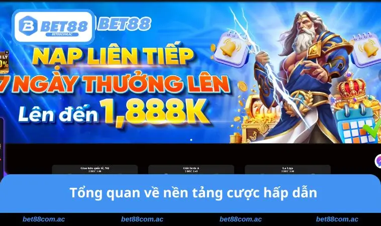 Tổng quan về nền tảng cược hấp dẫn